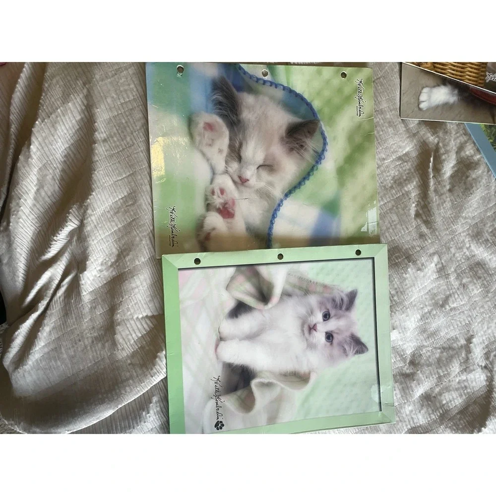 Vintage Y2K Class Act Keith Kimberlin School Binder & 6 Kitten Folders Retro